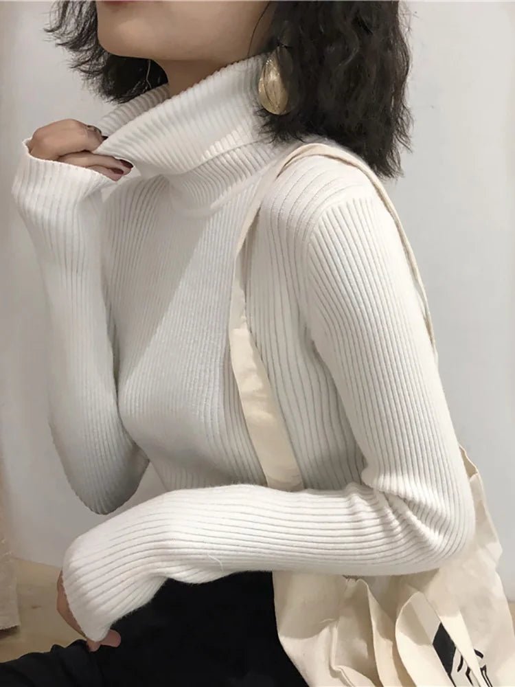 Modaura | Ribbed Turtleneck Sweater