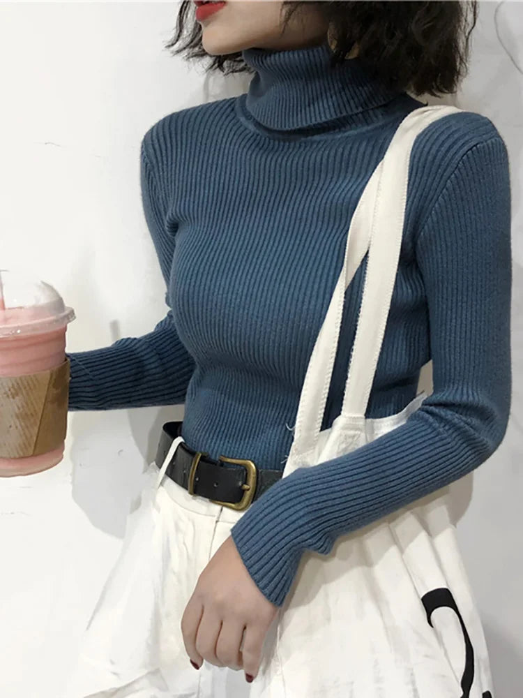 Modaura | Ribbed Turtleneck Sweater