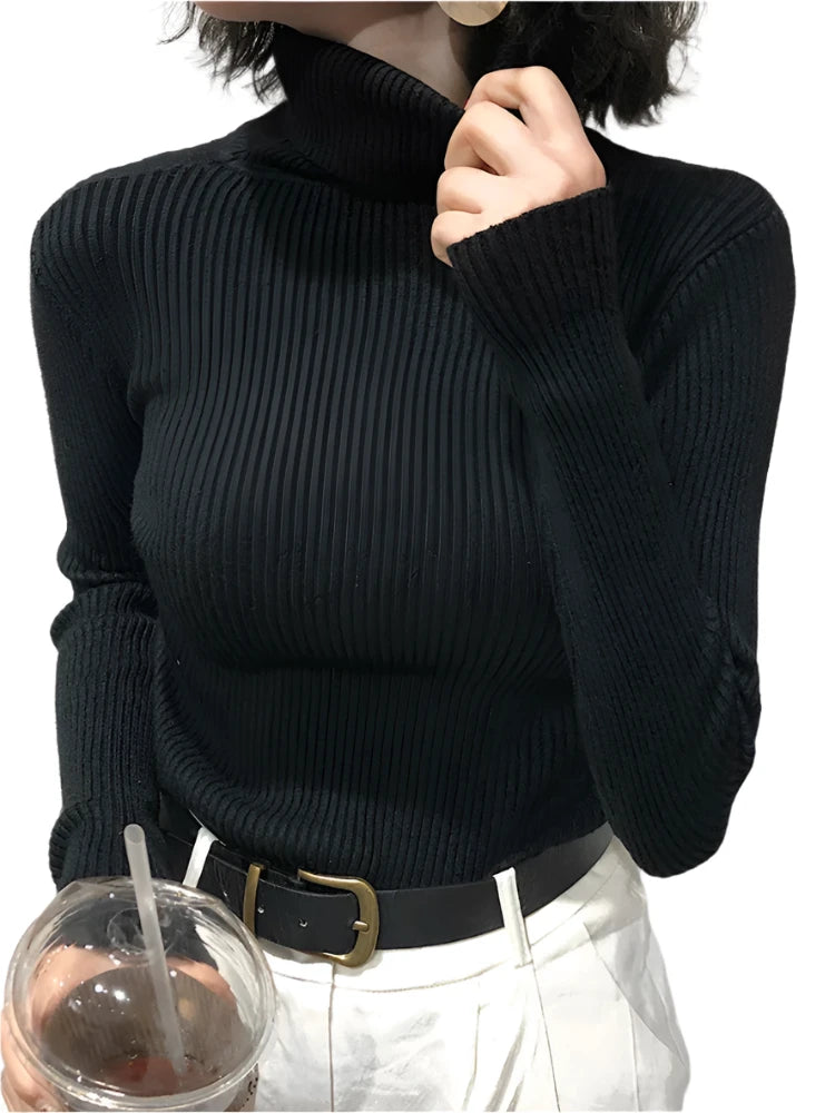 Modaura | Ribbed Turtleneck Sweater